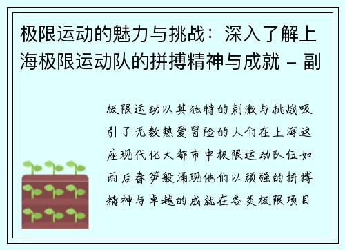 极限运动的魅力与挑战：深入了解上海极限运动队的拼搏精神与成就 - 副本