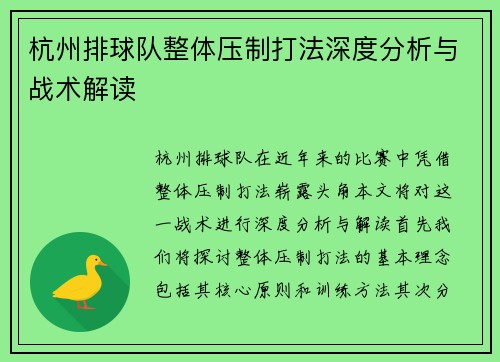 杭州排球队整体压制打法深度分析与战术解读